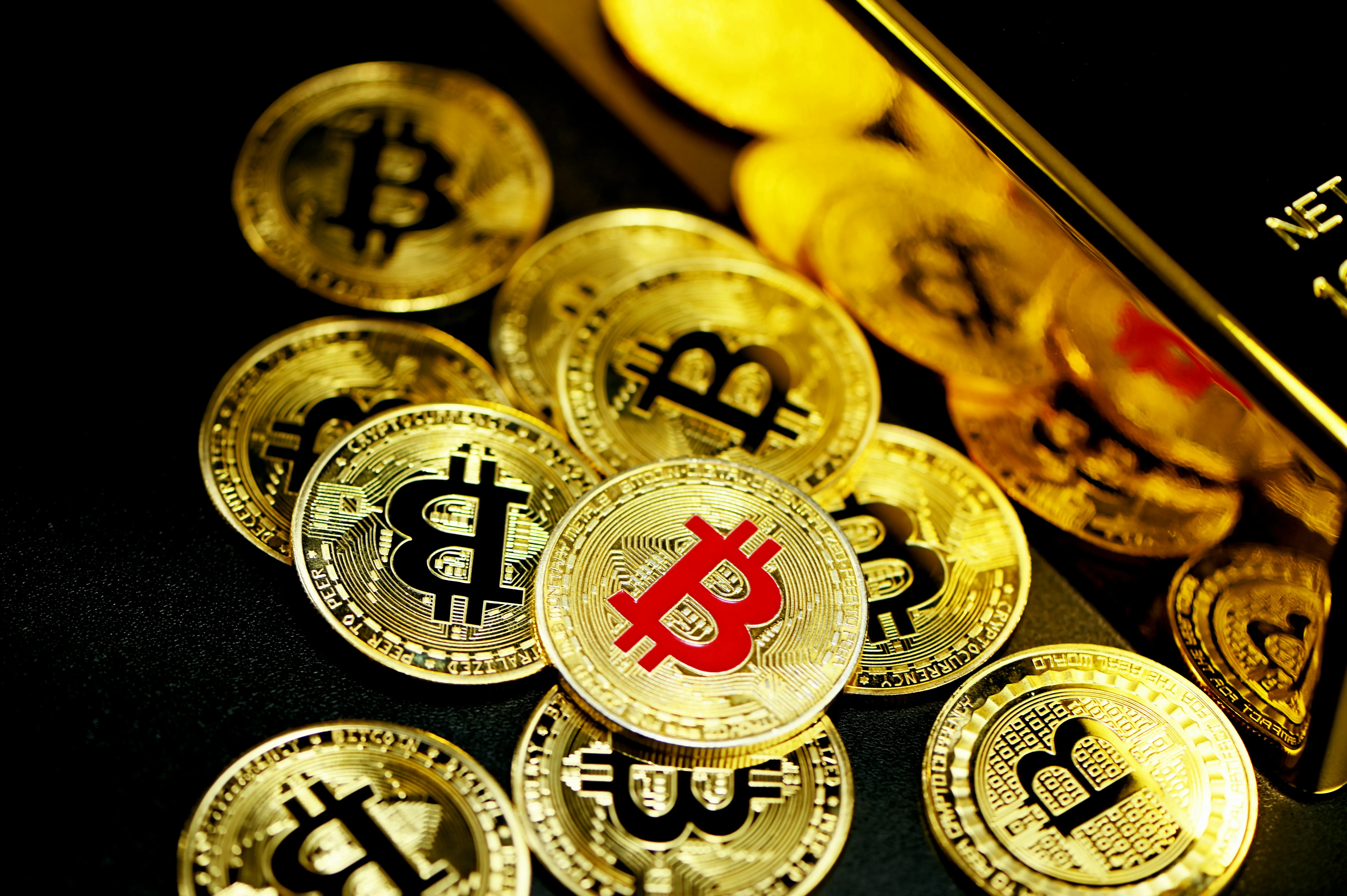 Đa dạng trò chơi cá cược tại đá gà alo789